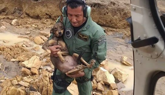 Imagem de Oito pessoas e três cachorros são resgatados por helicóptero dos bombeiros após ficarem ilhados em Iguaí