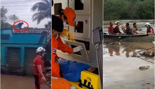 Imagem de Cachorro há 4 dias no telhado, criança ilhada e homem apoiado em galho são resgatados na Bahia; veja vídeos