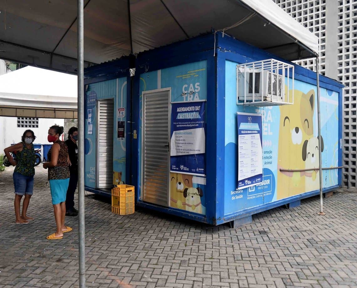 Castramóvel chega ao Centro Histórico de Salvador; confira orientações para castrar seu bichinho de estimação