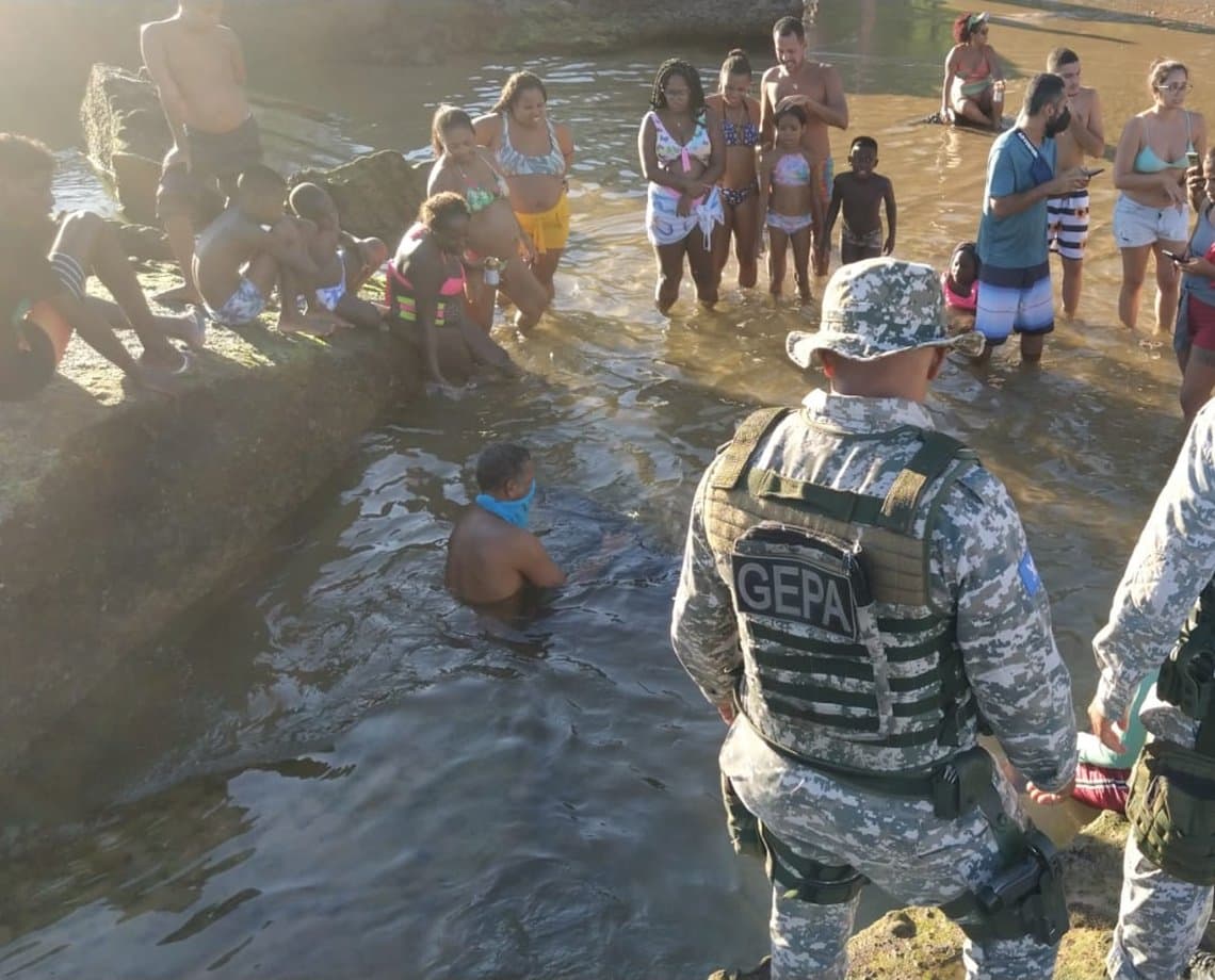 Golfinho encalha no Rio Vermelho e assusta banhistas, mas é resgatado com segurança