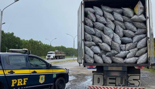 Imagem de Todo errado! Sem carteira de habilitação, motorista de 18 anos é flagrado pela PF  transportando carvão vegetal sem licença