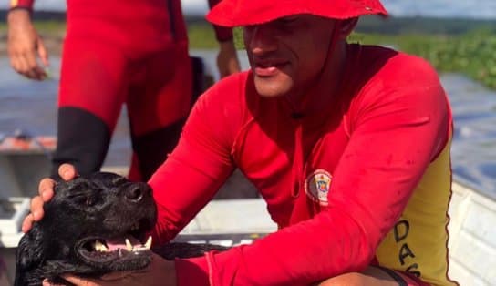 Imagem de Tio e sobrinho morrem afogados após pescar em rio; cachorro foi resgatado