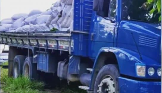 Imagem de Polícia liberta motorista vítima de assalto e recupera carga de 500 sacos de cacau, na Bahia; suspeitos fugiram