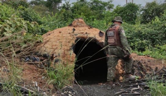 Imagem de Companhia Ambiental da Polícia Militar destrói fornos e apreende carvão