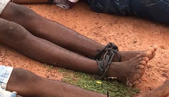 Imagem de Corpos de três jovens são achados em terreno baldio em Monte Gordo; vítimas estavam em jogo de futebol