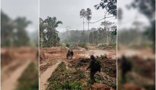 Imagem de Liderança indígena e servidor da Funai são presos por suposto envolvimento com garimpo ilegal