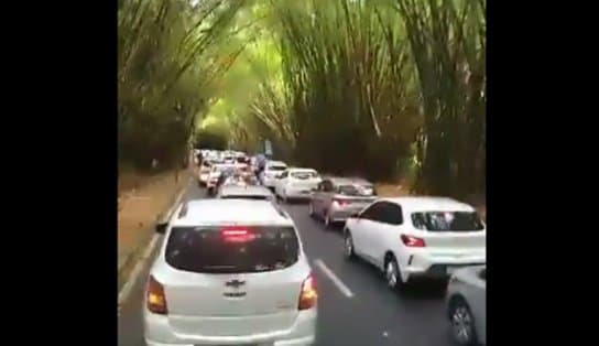 Imagem de Parou tudo! Motoristas de transporte por aplicativo fecham entrada do Aeroporto de Salvador em protesto; veja vídeo