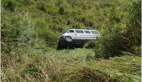 Imagem de Motorista perde controle da direção, van cai em ribanceira e 11 pessoas ficam feridas na BA-084; suspeita é de ataque de abelhas 