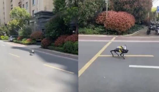 Imagem de Cão robô percorre ruas da China com megafone para reforçar lockdown; Confira 