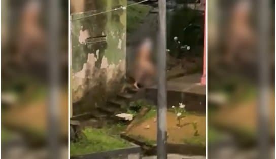 Imagem de Moradores filmam "peladão" que faz questão de se masturbar em público em Salvador; o que está acontecendo? 