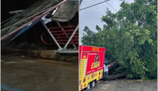 Imagem de Por conta da chuva e ventos fortes, placa publicitária e árvore caem em Salvador