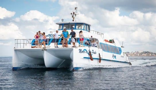 Imagem de Subiu a tarifa! Catamarãs para o Morro de São Paulo terão reajuste na passagem; confira