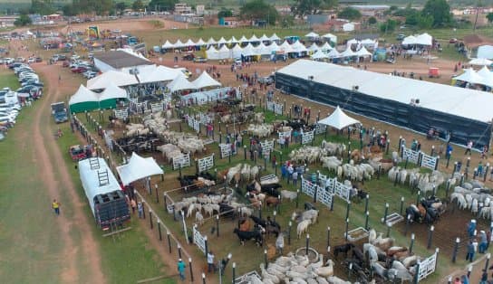 Imagem de Morro do Chapéu: Feira Agropecuária movimenta R$ 6 milhões na cidade e atrai cerca de 30 mil pessoas