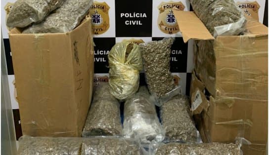 Imagem de Polícia apreende 20 kg de maconha em Vitória da Conquista e desarticula esquema de tráfico interestadual