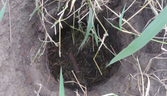 Imagem de Criança sobrevive dois dias sem comer e beber após ser esquecida pela mãe na Bahia; vítima estava em buraco 