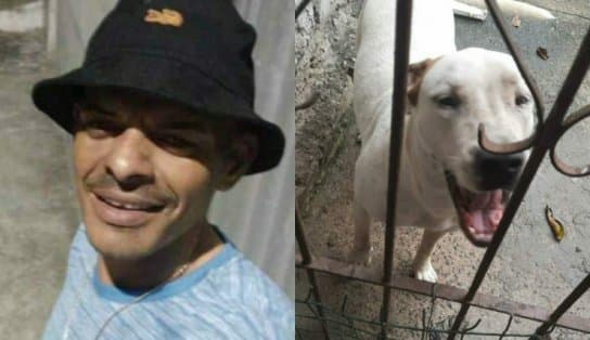 Imagem de Eletricista morre após ser atacado por dois cachorros da raça Pitbull em Camaçari; esposa da vítima encontrou cena 