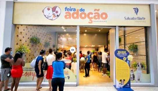 Imagem de Com vacinação gratuita e adoção de pets, shopping de Salvador oferece serviços voltados para amantes de animais