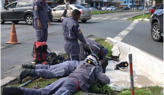 Imagem de Cachorrinho cai em vala e é resgatado por bombeiros em Salvador; veja vídeo  