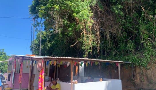 Imagem de Árvore tira tranquilidade de moradores no fim de linha do Saboeiro; "estão esperando acontecer algo mais sério?"