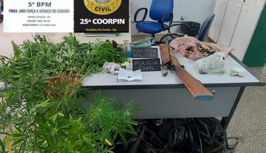 Imagem de Roça de maconha é descoberta em povoado do interior da Bahia; dois homens foram presos