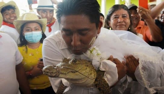 Imagem de Prefeito mexicano se casa com jacaré vestido de noiva para garantir prosperidade; cerimônia faz parte de ritual antigo