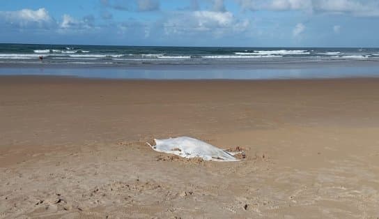 Imagem de Corpo de mulher é encontrado em praia de Salvador; vítima não tinha sinais de afogamento