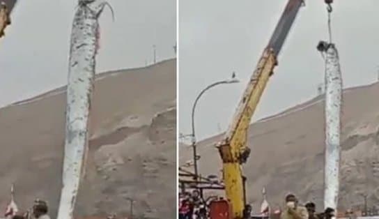 Imagem de VÍDEO: peixe gigante é pescado no extremo-norte do Chile e impressiona moradores; entenda 