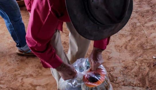 Imagem de Vinte lavradores que trabalhavam como escravos são resgatados em fazenda de café na Bahia