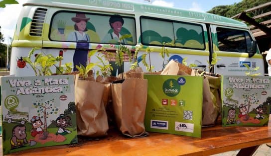 Imagem de Mudas de árvores nativas são distribuídas no Parque da Cidade nesta sexta-feira; saiba como garantir a sua