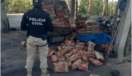 Imagem de Polícia localiza quarteto acusado de produção ilegal de carvão no sul da Bahia 