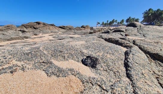 Imagem de Manchas de óleo são novamente encontradas na orla de Salvador e preocupam comerciantes e banhistas 