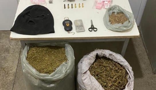 Imagem de Polícias da Bahia e Pernambuco apreendem 80 kg de maconha na divisa entre os estados  