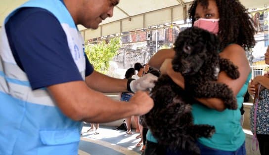 Imagem de Campanha de vacinação antirrábica segue em quatro shoppings neste fim de semana em Salvador 