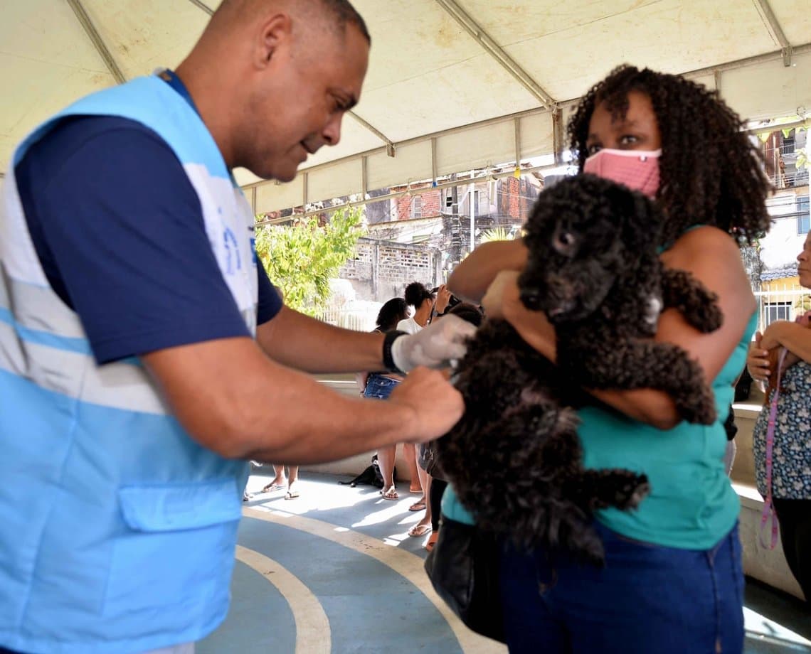 Campanha de vacinação antirrábica segue em quatro shoppings neste fim de semana em Salvador 