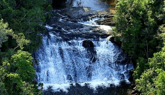 Imagem de Parque Estadual da Serra do Conduru, no sul da Bahia, é concedido em leilão