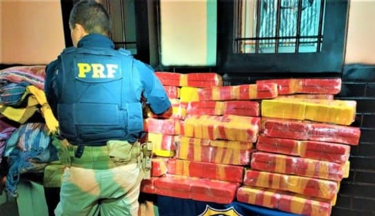 Imagem de Dois homens são presos, e prejuízo de R$ 435 mil ao narcotráfico é causado na Bahia; veja vídeo 