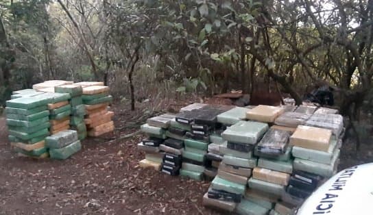 Imagem de “Bunker” da maconha é descoberto com cinco toneladas da droga no Paraná