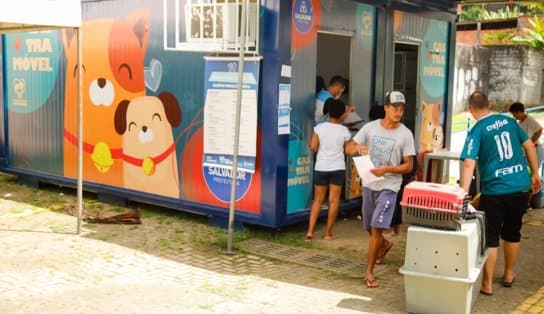 Imagem de Castramóvel segue com atendimento no bairro de Valéria; são 60 atendimentos diários