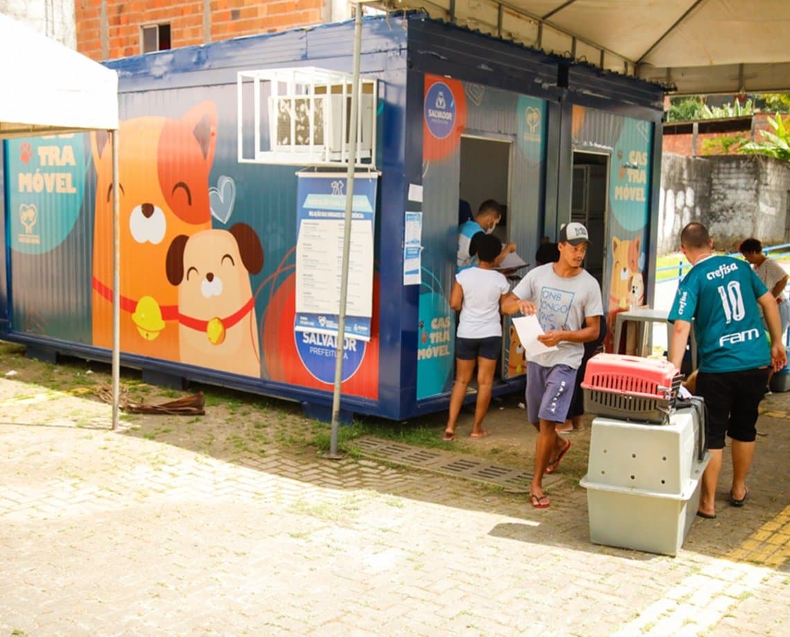 Castramóvel segue com atendimento no bairro de Valéria; são 60 atendimentos diários