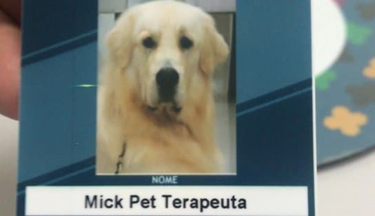 Imagem de Conheça Mick, o cãozinho contratado para alegrar pacientes do Hospital Municipal de Salvador