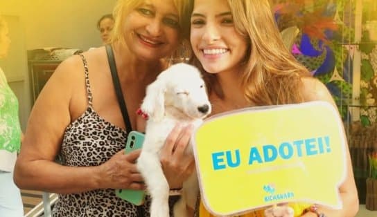 Imagem de Feira de adoção de cães e gatos acontece no próximo fim de semana, na Pituba; confira