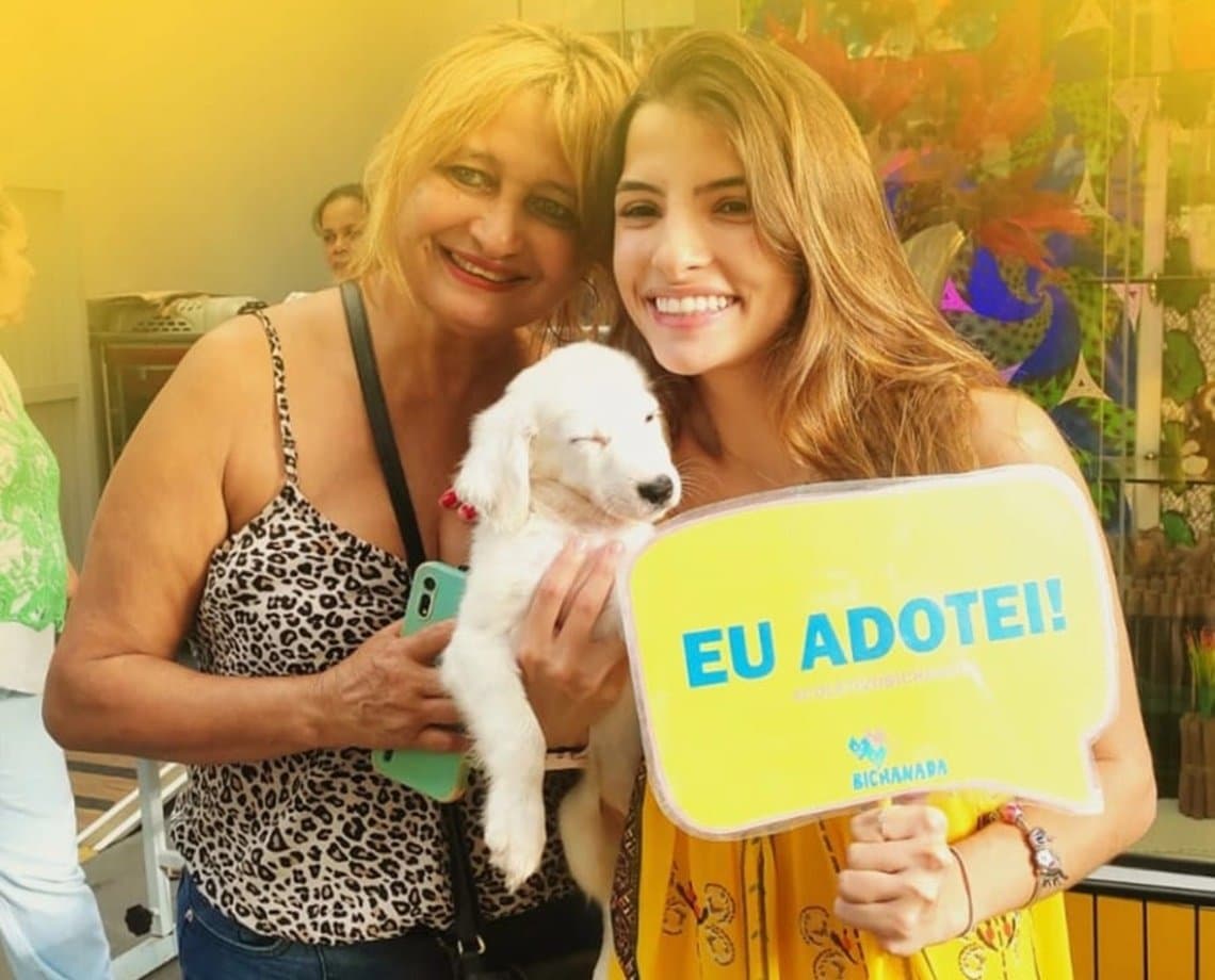 Feira de adoção de cães e gatos acontece no próximo fim de semana, na Pituba; confira