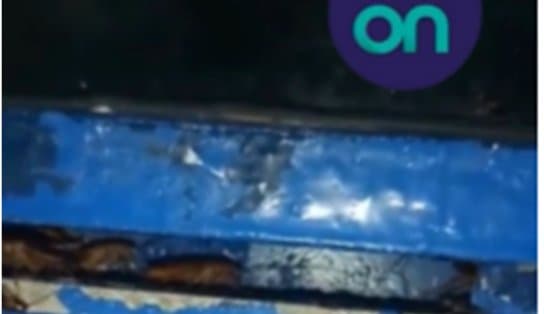 Imagem de Em vídeo, usuário registra dezenas de baratas no ferry boat Dorival Caymmi; Internacional Travessias nega: "antigo"