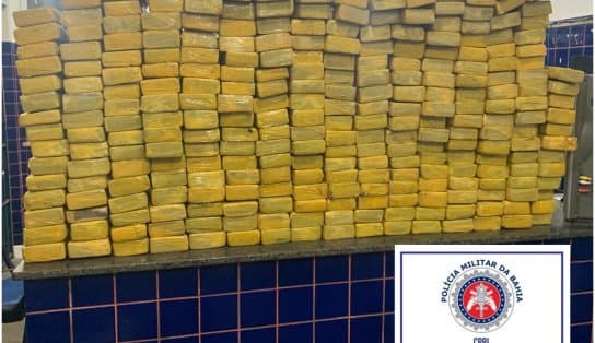 Imagem de Polícia apreende mais de 300 kg de maconha no interior da Bahia; suspeito foi detido