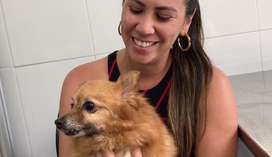 Imagem de Outubro Rosa Pet: projeto da Ufba oferece tratameto acessível contra o câncer de mama em cadelas e gatas