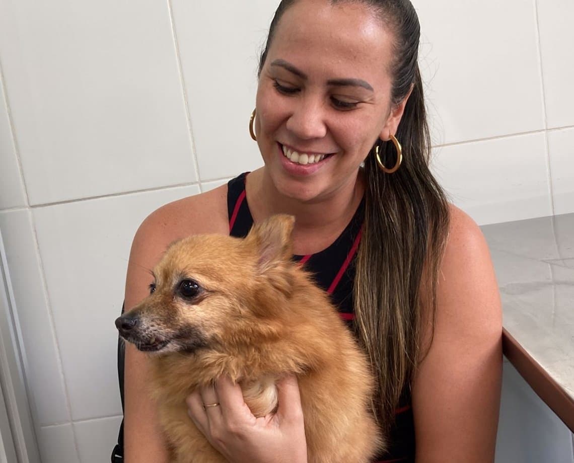 Outubro Rosa Pet: projeto da Ufba oferece tratameto acessível contra o câncer de mama em cadelas e gatas