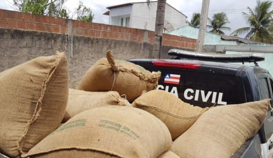 Imagem de Dupla que roubou mais de 700 kg de café é presa em Eunápolis, extremo sul da Bahia 