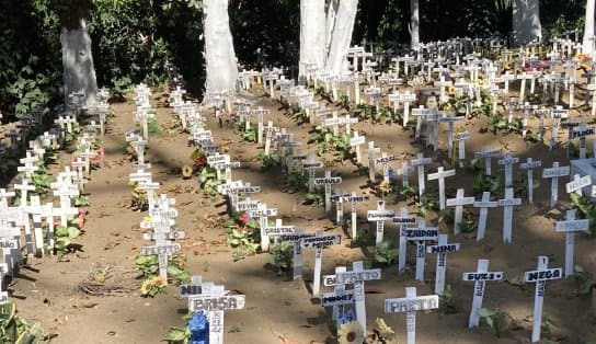 Imagem de  Com direito a "funerAU", cemitério de animais em Salvador tem "rabecão" e 45 mil corpos enterrados