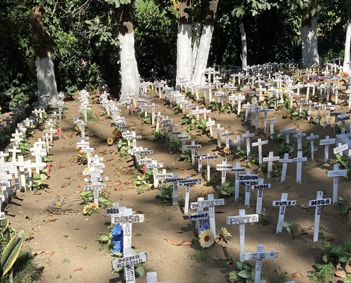  Com direito a "funerAU", cemitério de animais em Salvador tem "rabecão" e 45 mil corpos enterrados