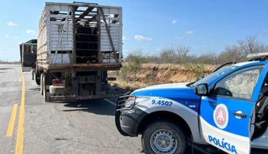 Imagem de Homens que fizeram família de refém e roubaram caminhão e moto são presos em flagrante no interior da Bahia 